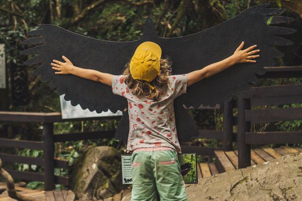 suedafrika roadtyping wyldmagazin1596