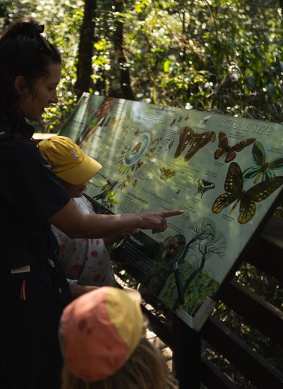 suedafrika roadtyping wyldmagazin1565