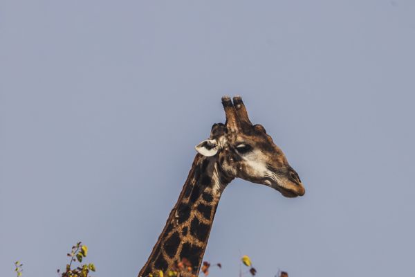 suedafrika roadtyping wyldmagazin0699