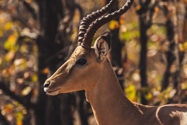 suedafrika roadtyping wyldmagazin0679