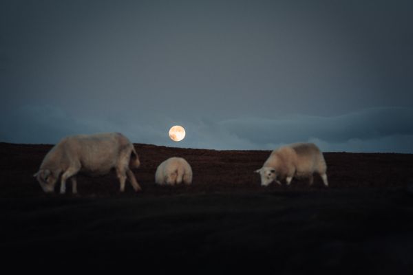 schottland stephan thom wyldmagazin 12