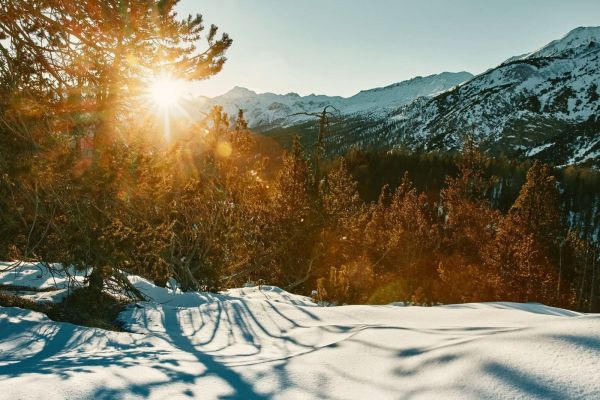 wyldmagazin via silenzi graubuenden 6