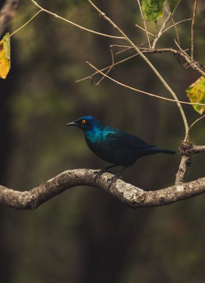 suedafrika roadtyping wyldmagazin0763