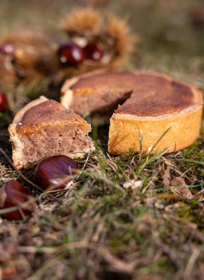 wyldmagazin kastanienernte im bergell graubuenden schweiz TOM 4067