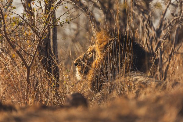 suedafrika roadtyping wyldmagazin1704