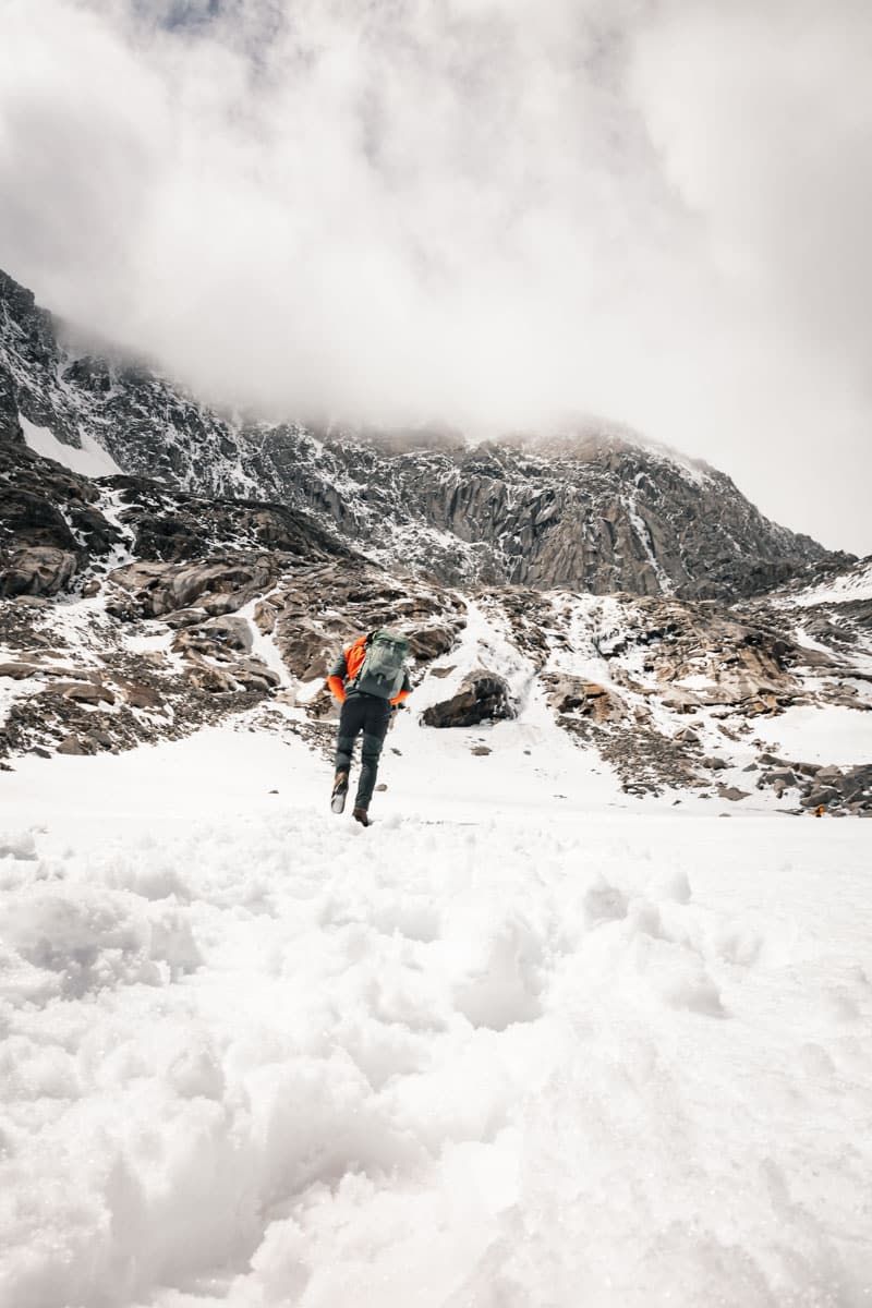 Schnellfeld am Schwarzenstein im Sommer