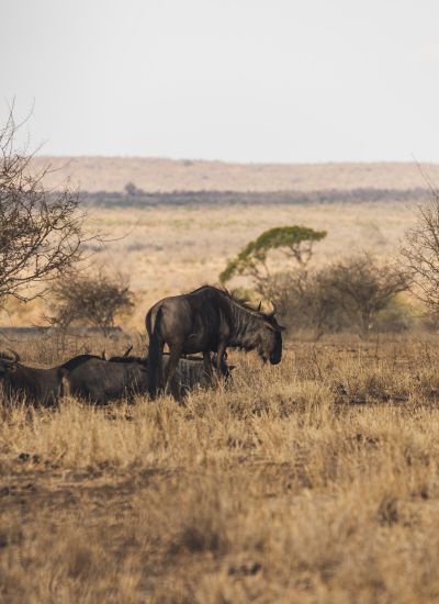 suedafrika roadtyping wyldmagazin1709