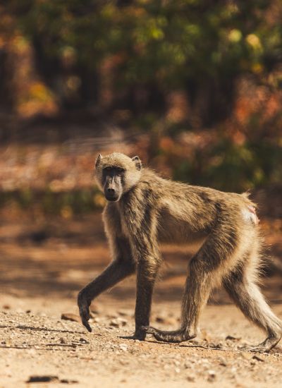 suedafrika roadtyping wyldmagazin0949