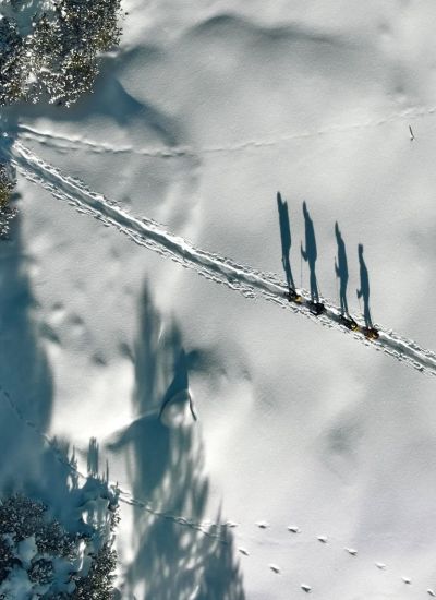 wyldmagazin via silenzi graubuenden 2