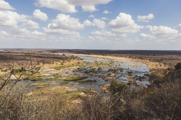 suedafrika roadtyping wyldmagazin0973