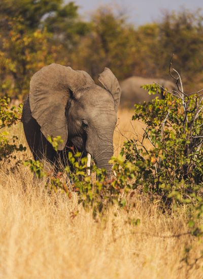 suedafrika roadtyping wyldmagazin0809