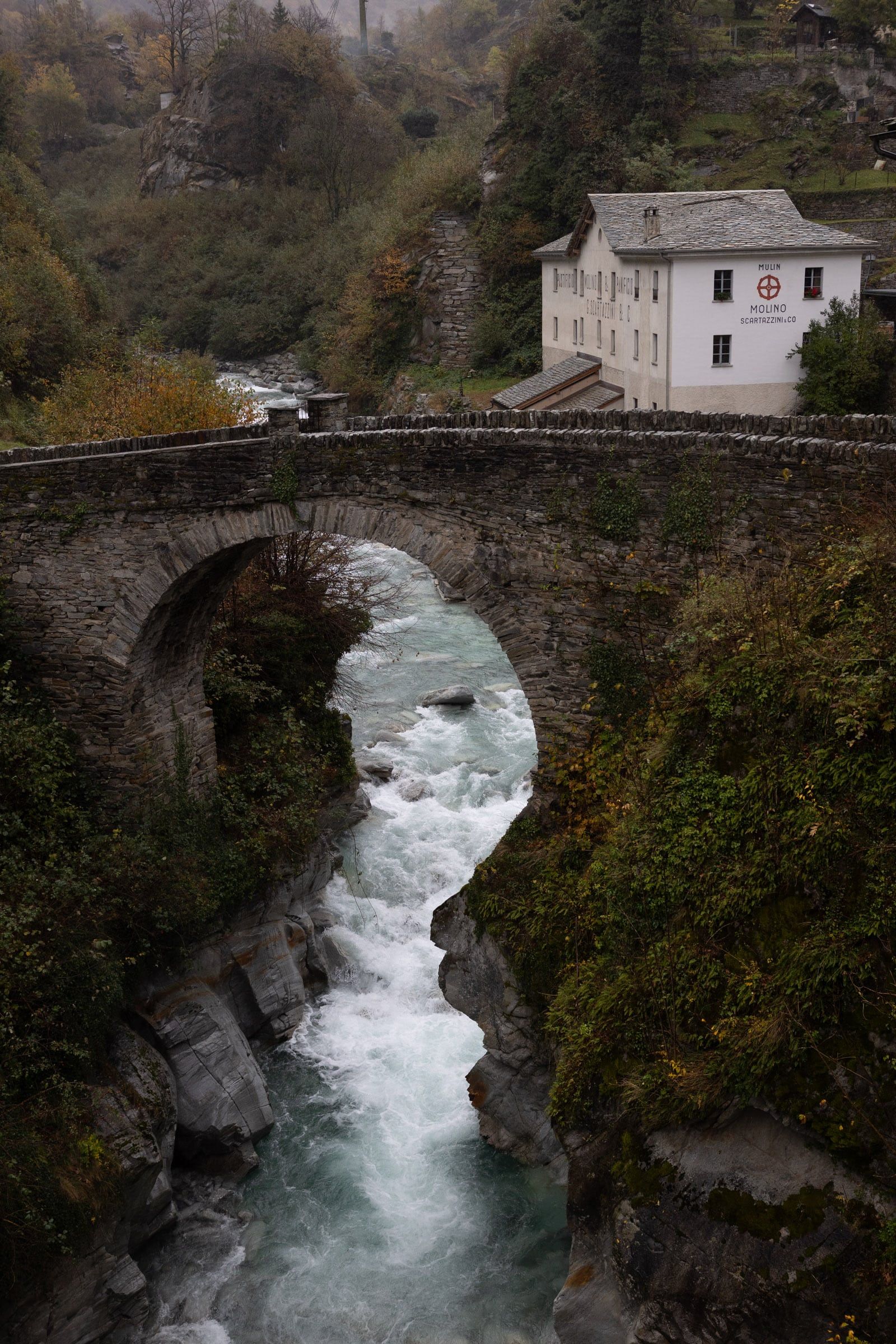 wyldmagazin kastanienernte im bergell graubuenden schweiz TOM 4293
