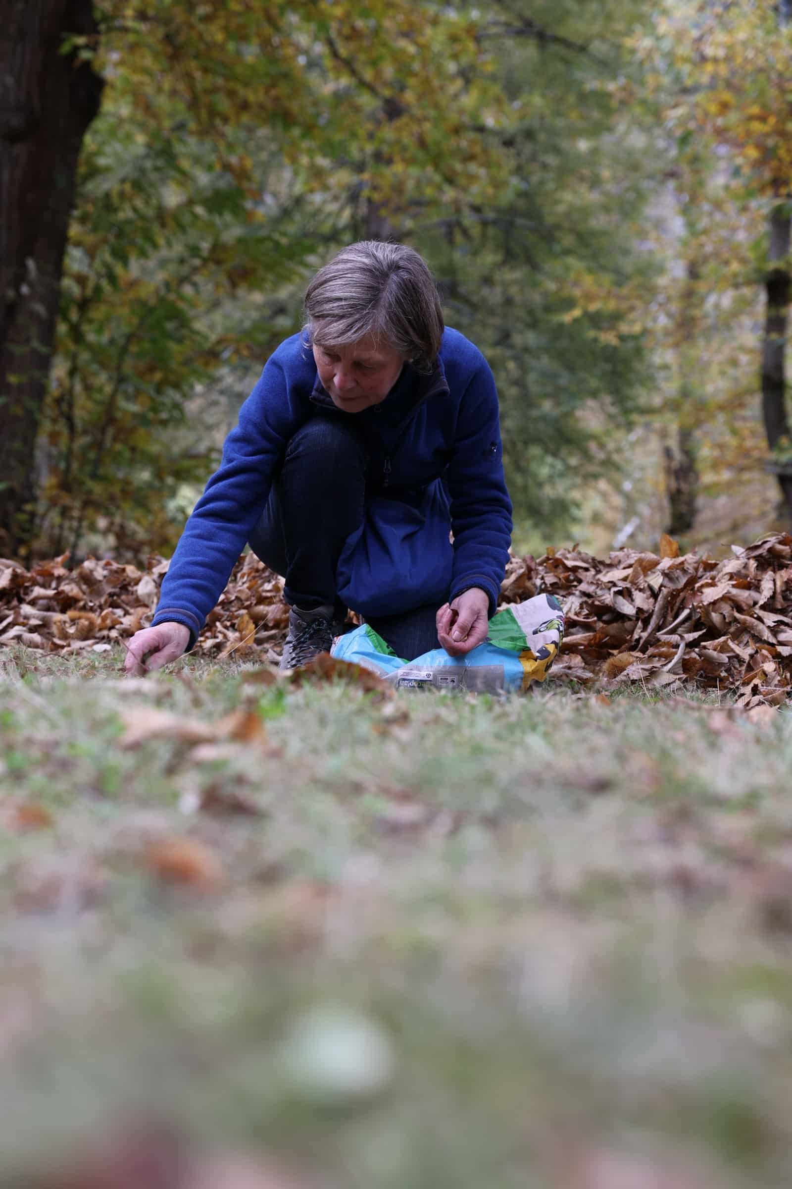 wyldmagazin kastanienernte im bergell graubuenden schweiz TOM 3847 1