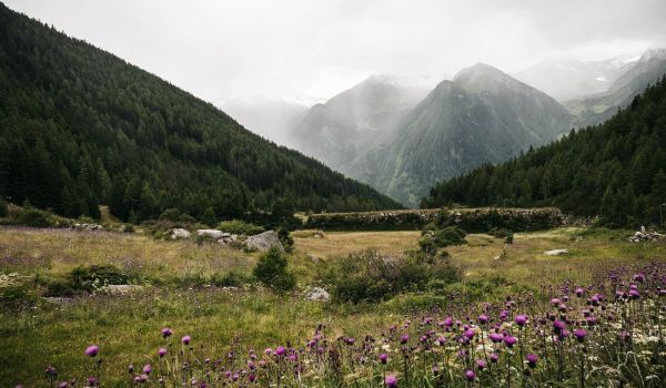Antrisches Toul - Wandern im Arhntal in Südtirol Blick in die Berge