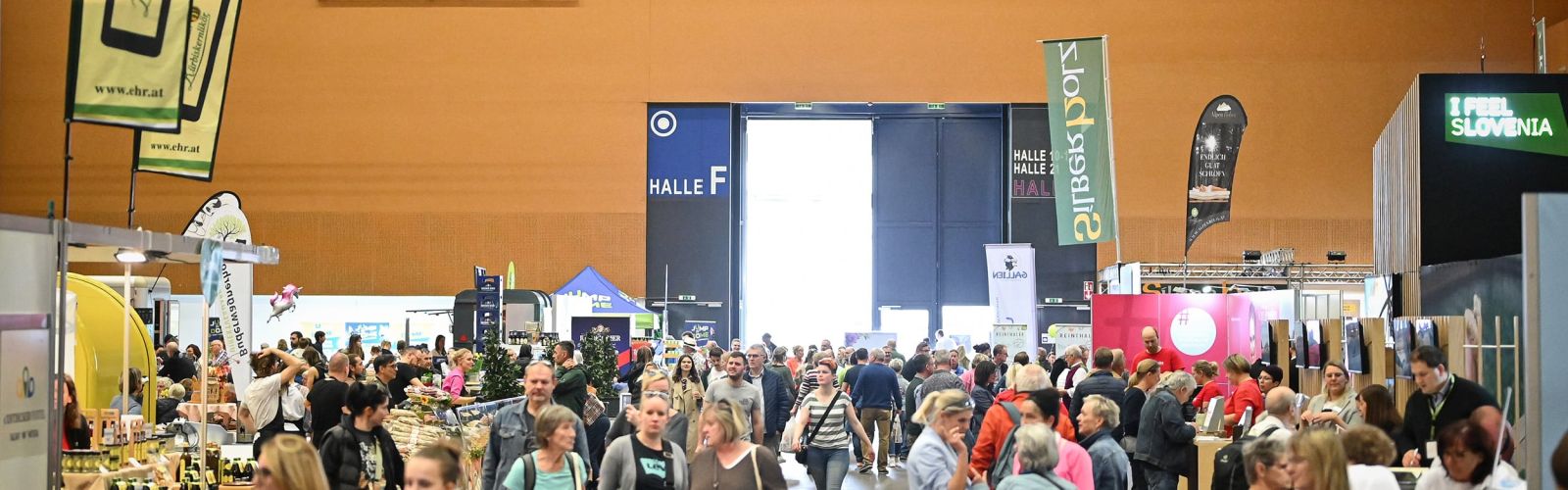 Urlaub und Ausflug Wels 2026