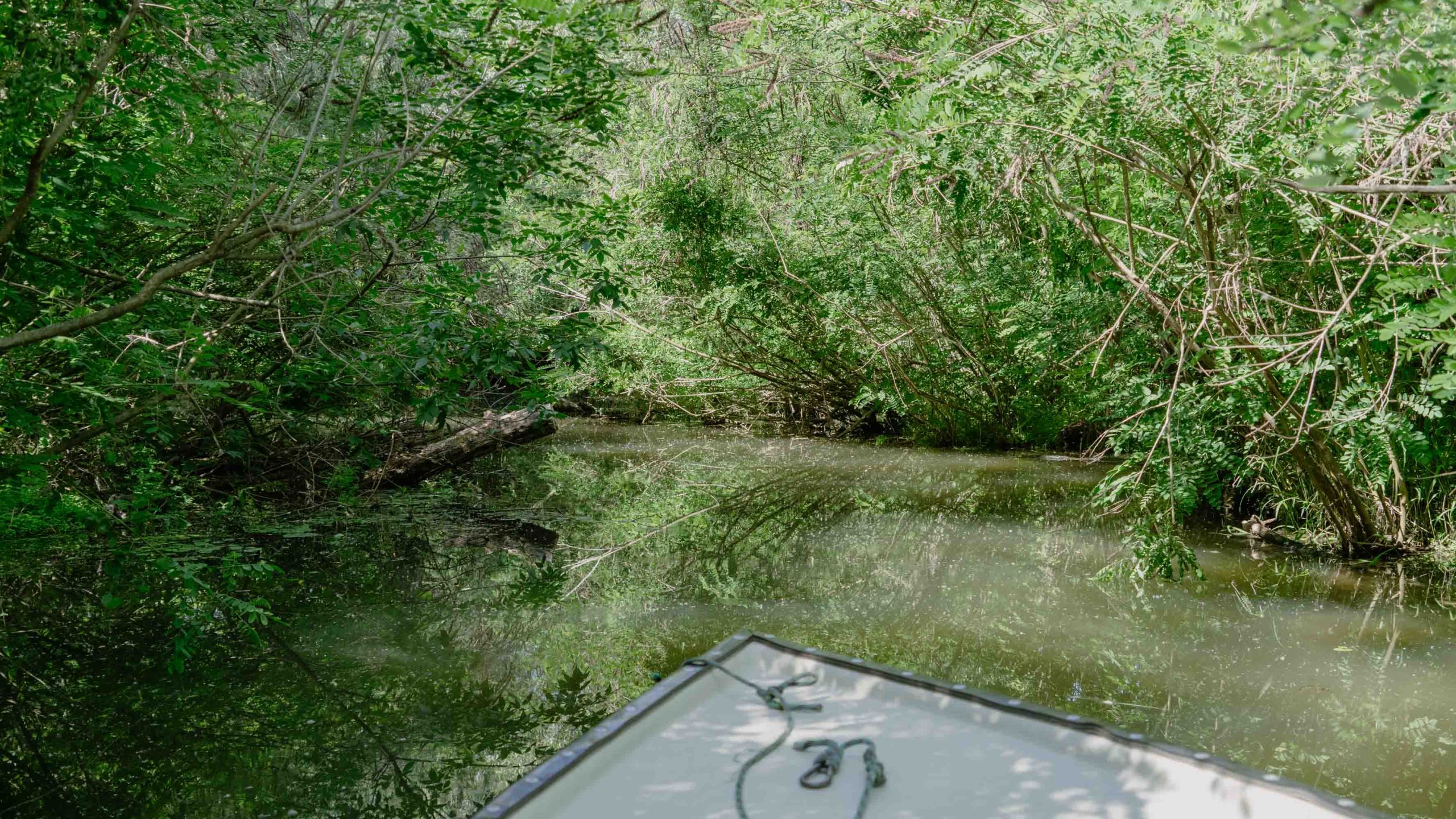 ©FrederiekeKrippeit Pressereise Riverly Ungarn web 07086