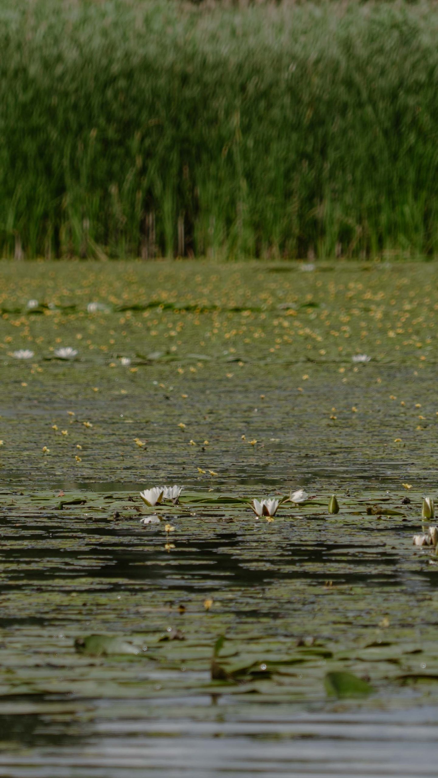©FrederiekeKrippeit Pressereise Riverly Ungarn web 07113