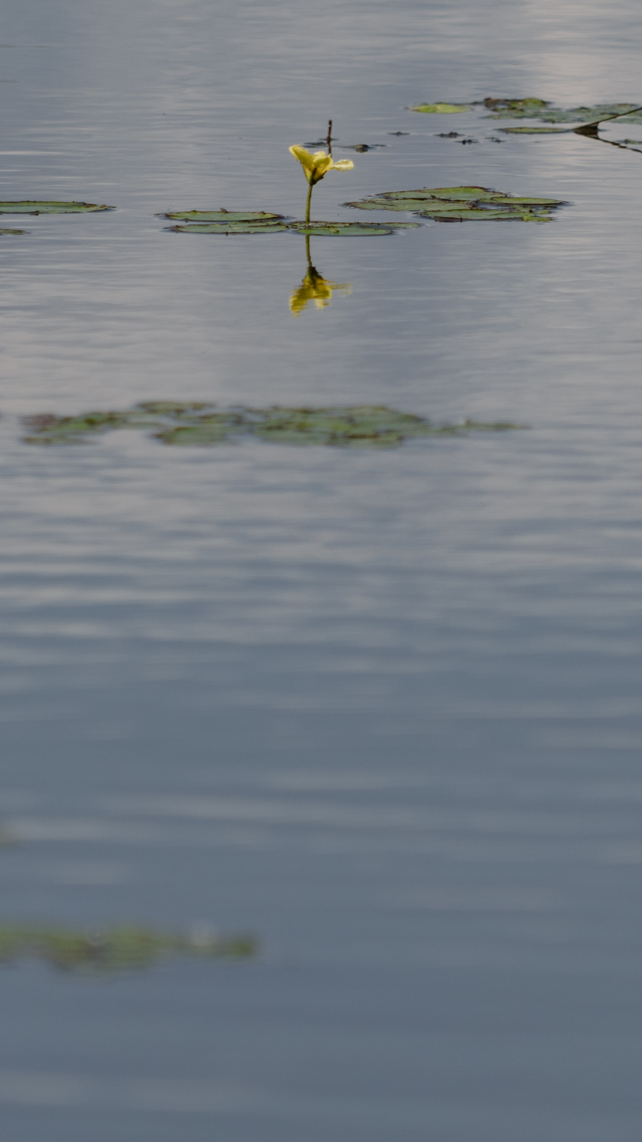 ©FrederiekeKrippeit Pressereise Riverly Ungarn web 07143