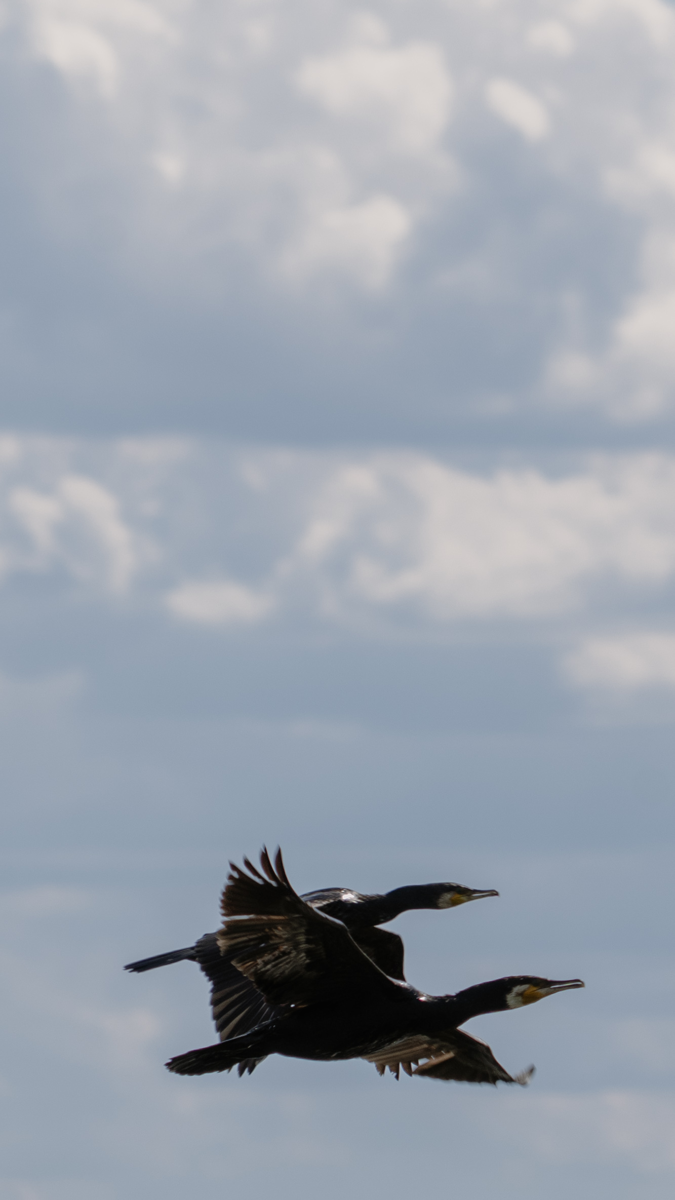 ©FrederiekeKrippeit Pressereise Riverly Ungarn web 07154