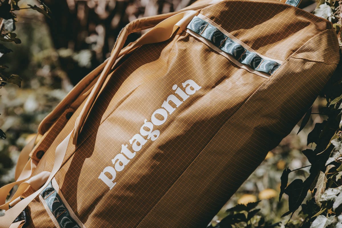 Patagonia Black Hole Duffel 55 Detail Logo lehnt am Baum