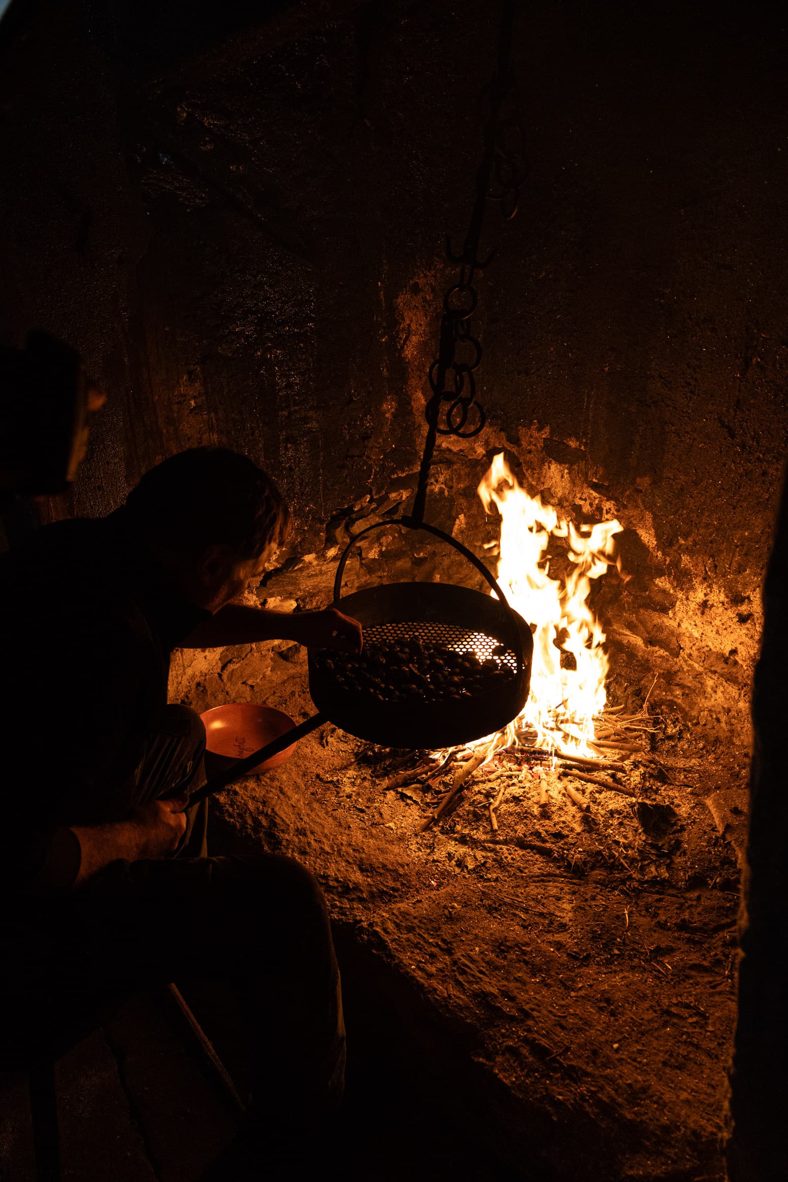 wyldmagazin kastanienernte im bergell graubuenden schweiz TOM 4188