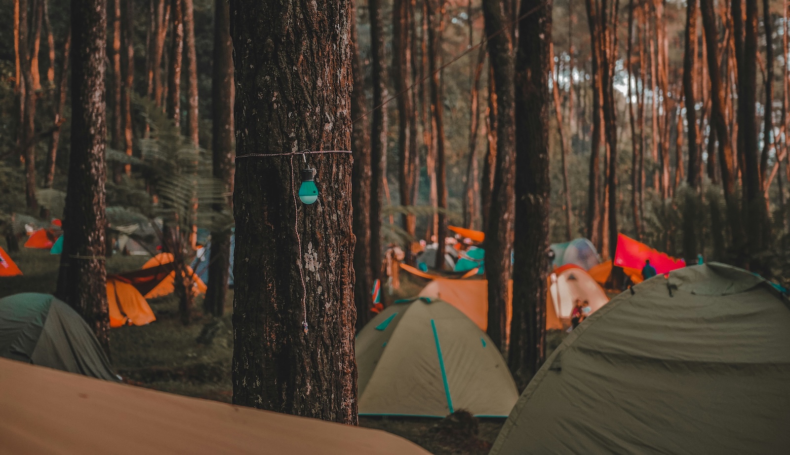 camping boom europa wyldmag wyldmagazin