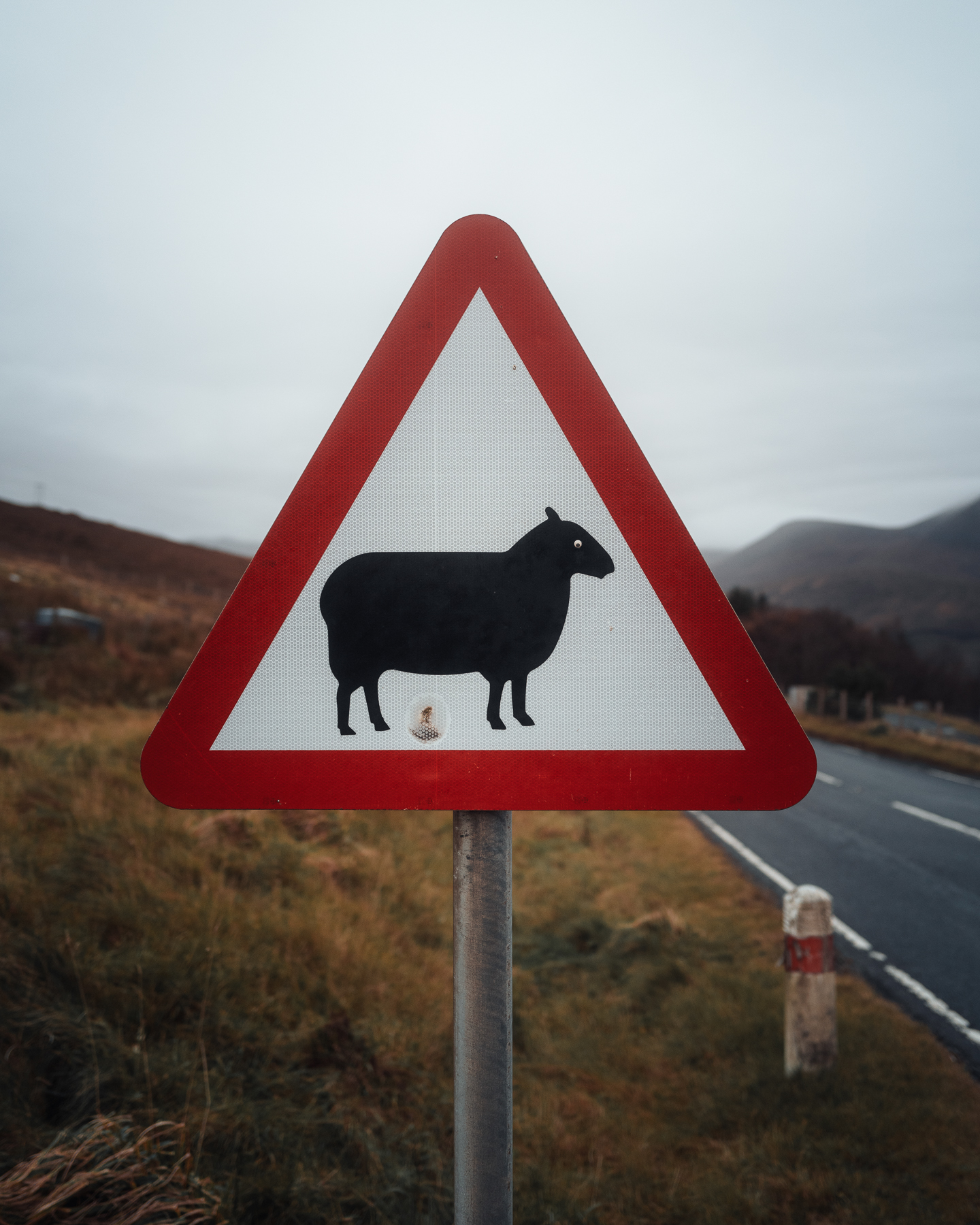 schottland stephan thom wyldmagazin 6