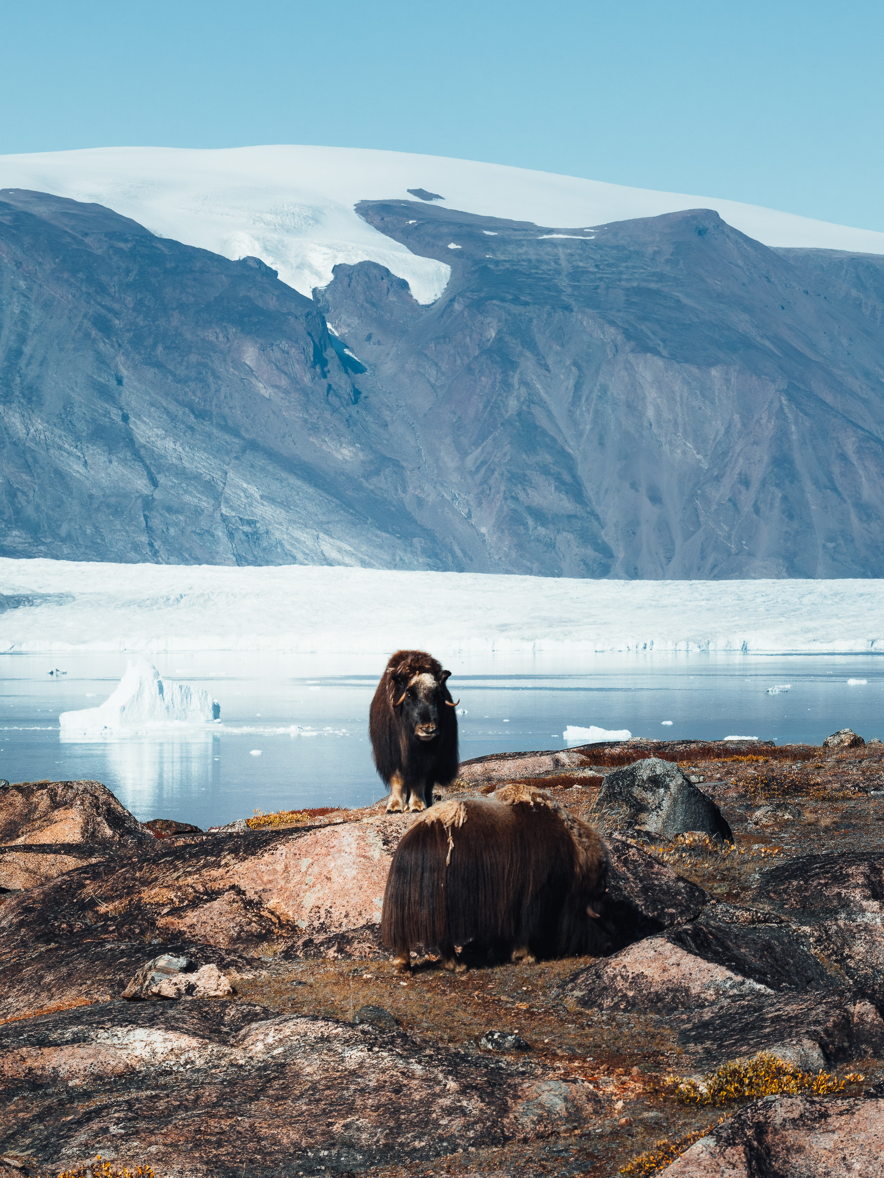 stephan thom segeln in groenland wyldmagazin 32