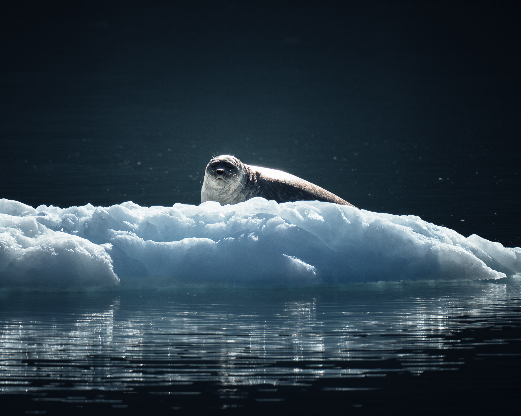 stephan thom segeln in groenland wyldmagazin 47