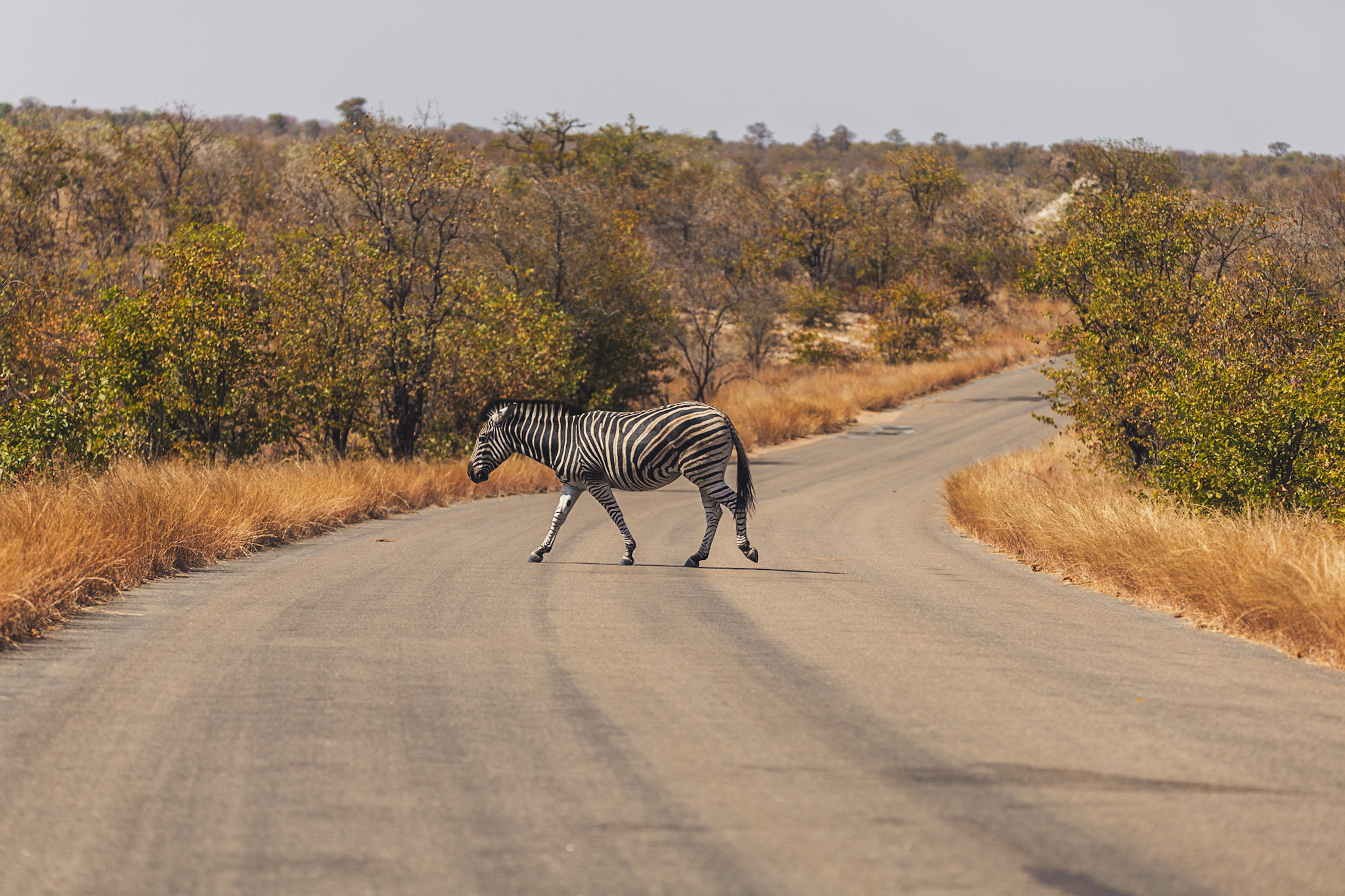 suedafrika roadtyping wyldmagazin0715
