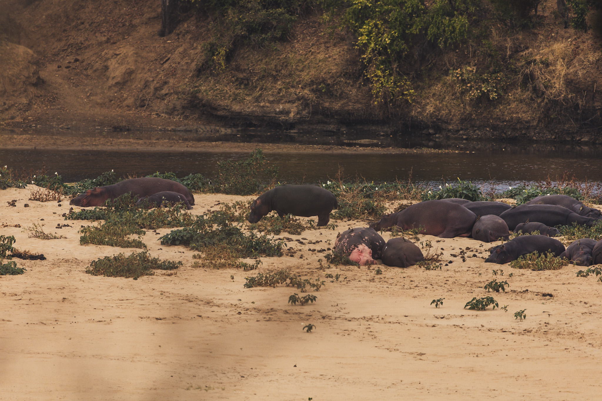 suedafrika roadtyping wyldmagazin0786