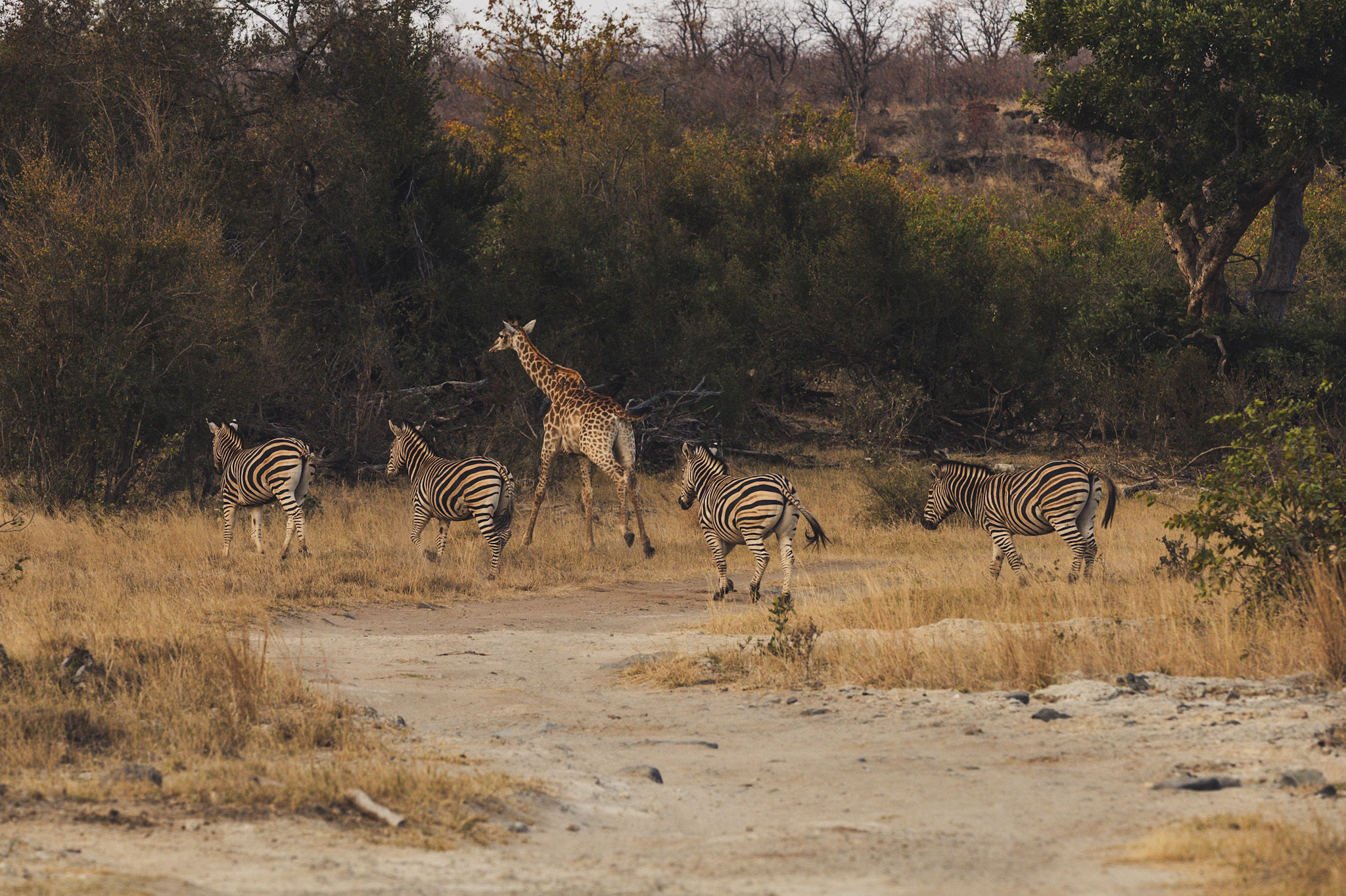 suedafrika roadtyping wyldmagazin0847