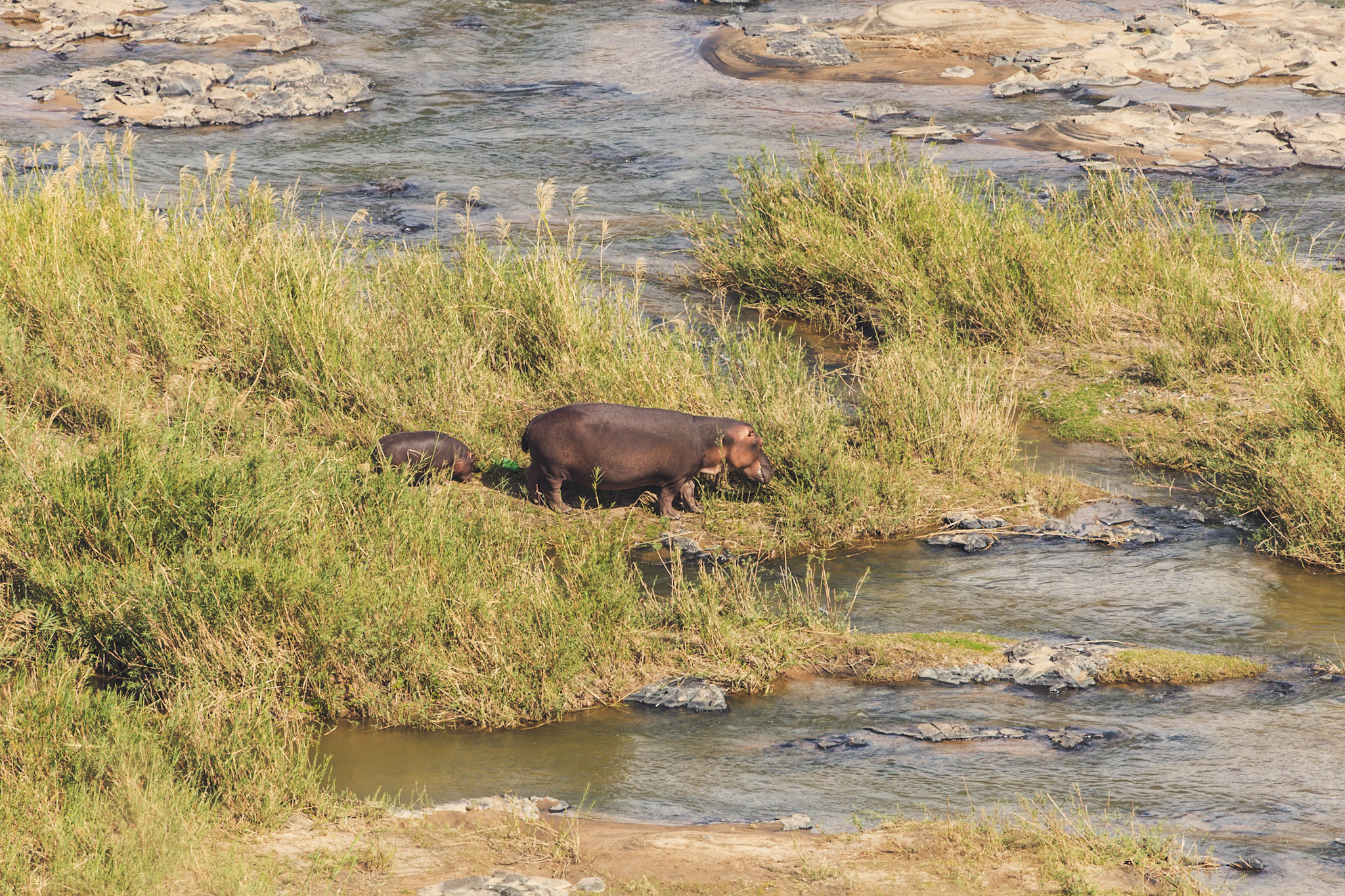 suedafrika roadtyping wyldmagazin0985