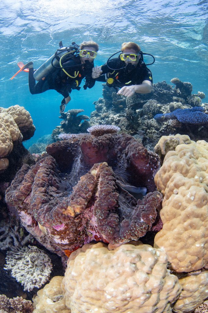 wyld news ScubaDiving Clam GreatBarrierReef Silverswift PhotoCredit TTNQ