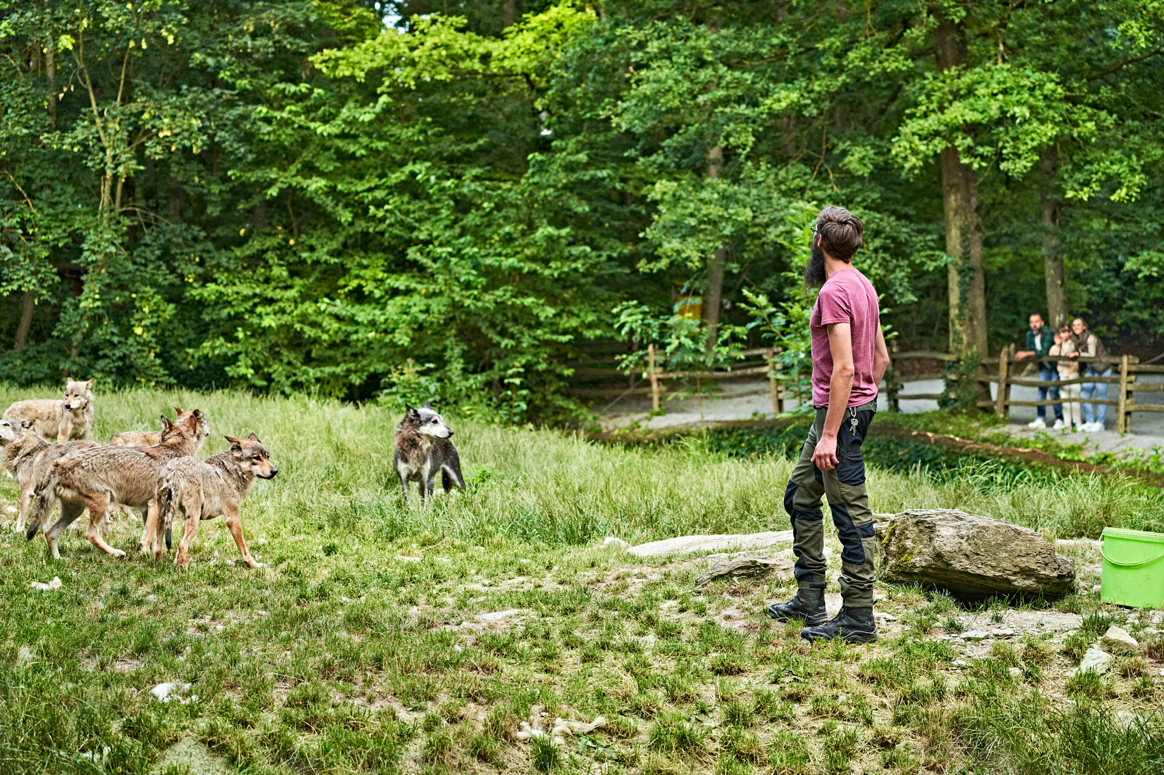 wyldmagazin Bad Mergentheim Taubertal Wolfsgeheul mit Marco Brauns (c) TMBW Foto Gert Krautbauer 10604