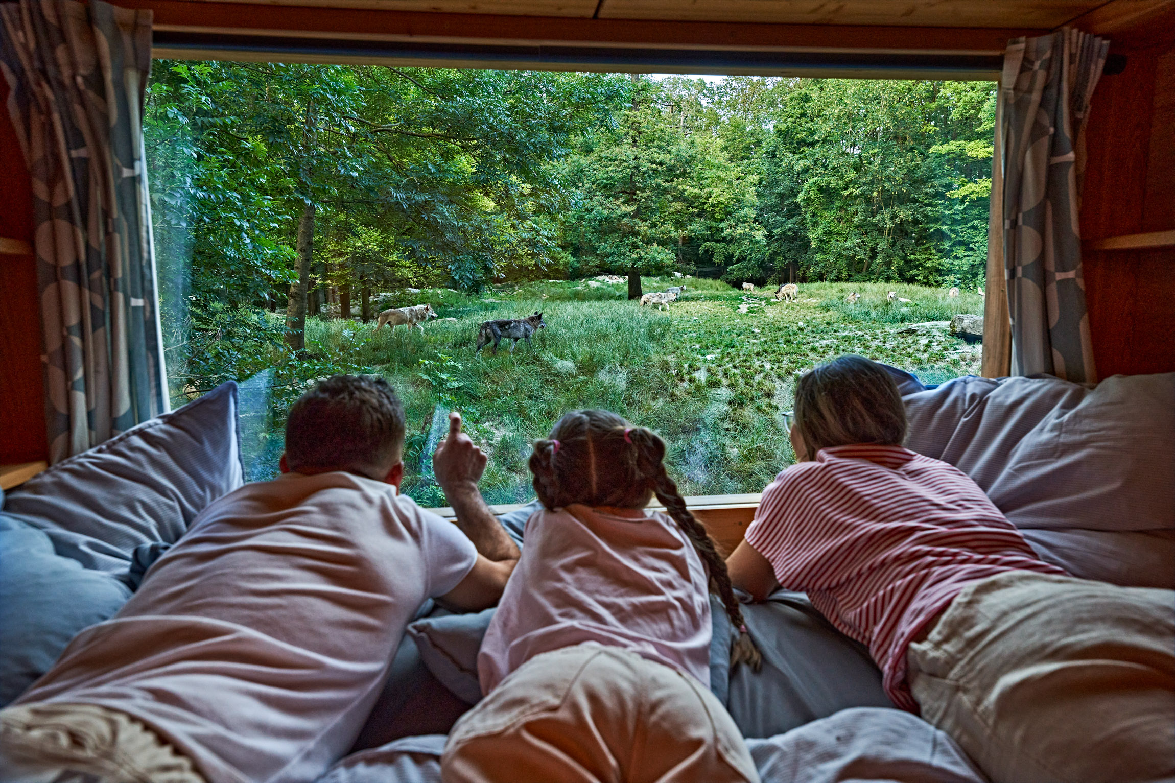 wyldmagazin Bad Mergentheim Taubertal Wolfsgeheul mit Marco Brauns (c) TMBW Foto Gert Krautbauer 11316