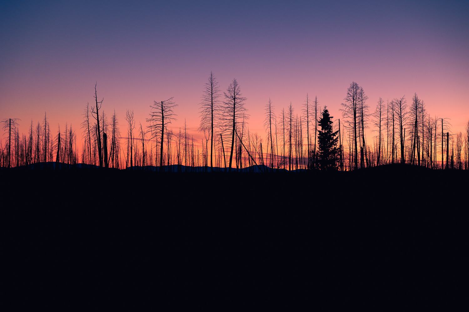 wyldmagazin kanada british columbia siwash lake ranch 027