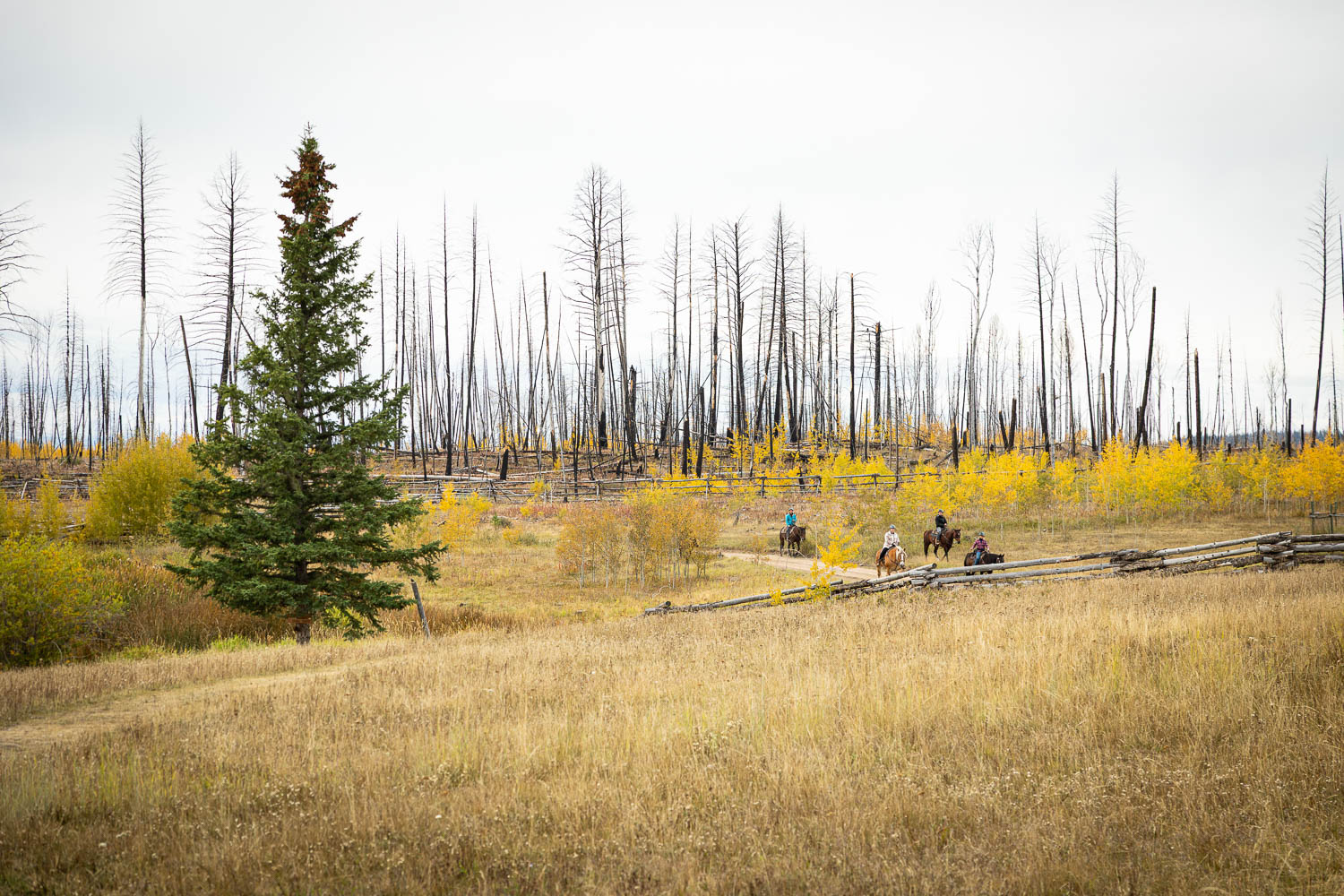 wyldmagazin kanada british columbia siwash lake ranch 082