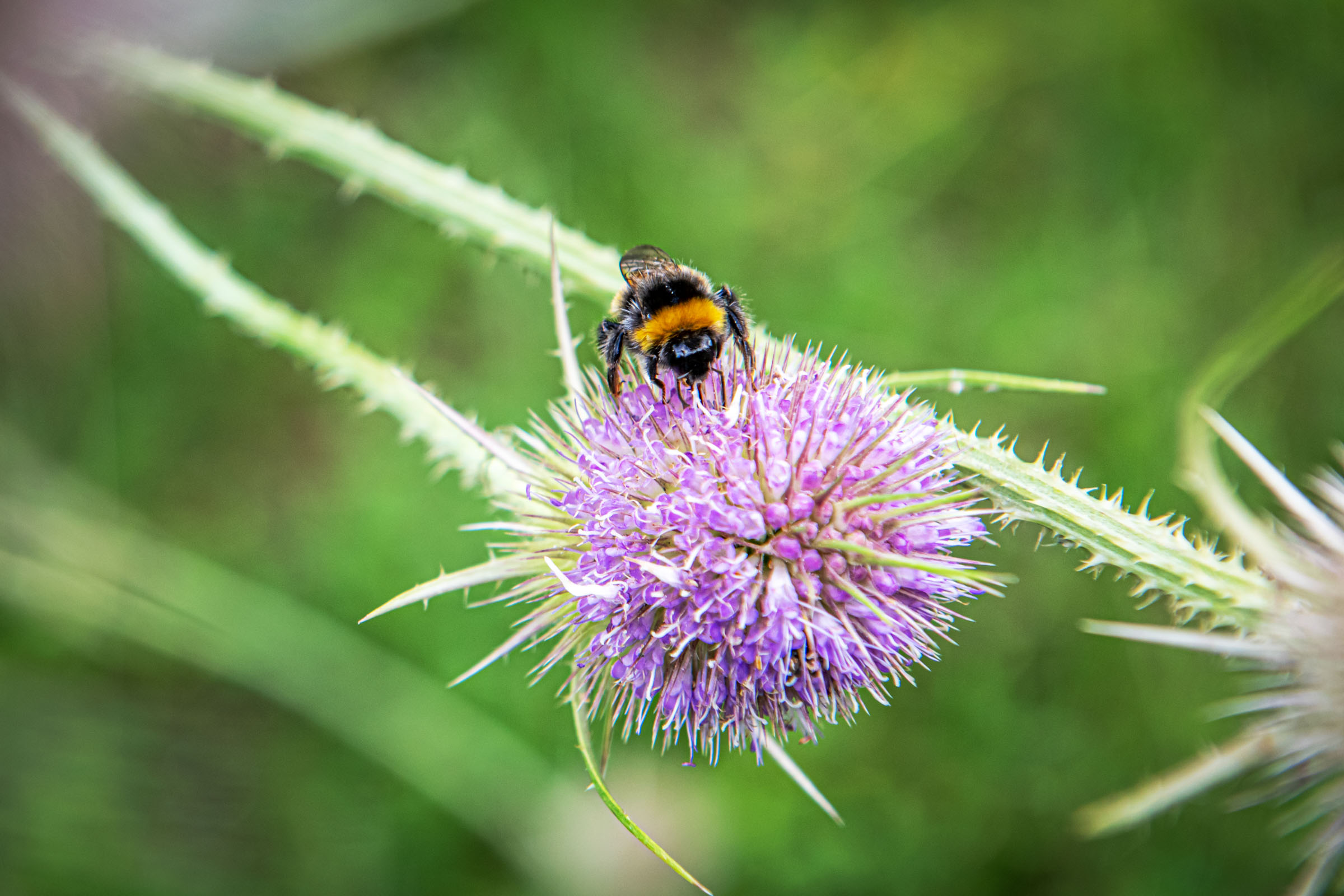 wyldmagazin luxemburg rostige romanze223