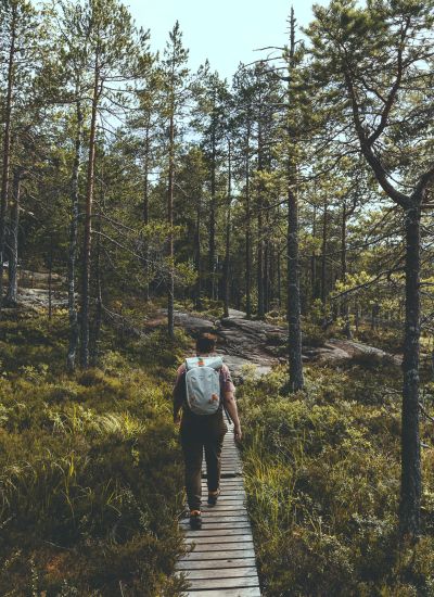 Wandern im Skuleskogen Nationalpark im Hochmoor