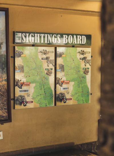 suedafrika roadtyping wyldmagazin0983