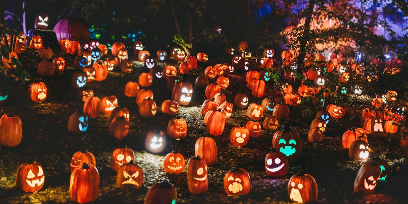 Hat was von Fasching im Herbst. Man muss die Feste feiern, wie sie fallen!