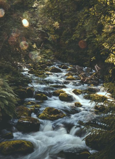 Bachlauf im Schwedischen Nationalpark Fulufjället
