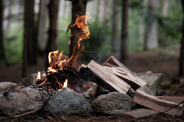 Petromax Wyld 20
