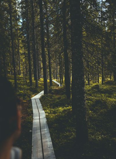 Wanderwege im Skuleskogen