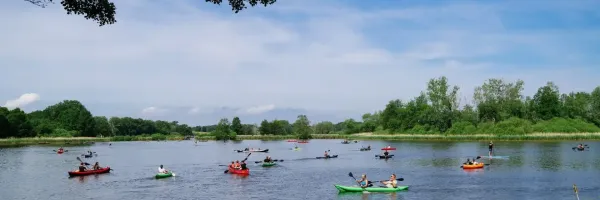 Freiluft 2025 Dresden 08462 15c6240d 46dd8975