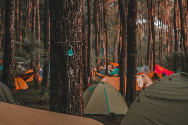 camping boom europa wyldmag wyldmagazin