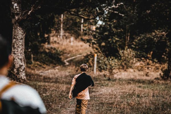 Jedermannsrecht in Schweden