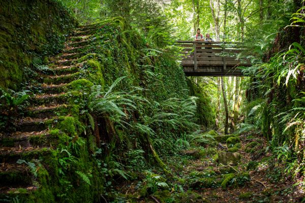 wyldmagazin luxemburg rostige romanze228