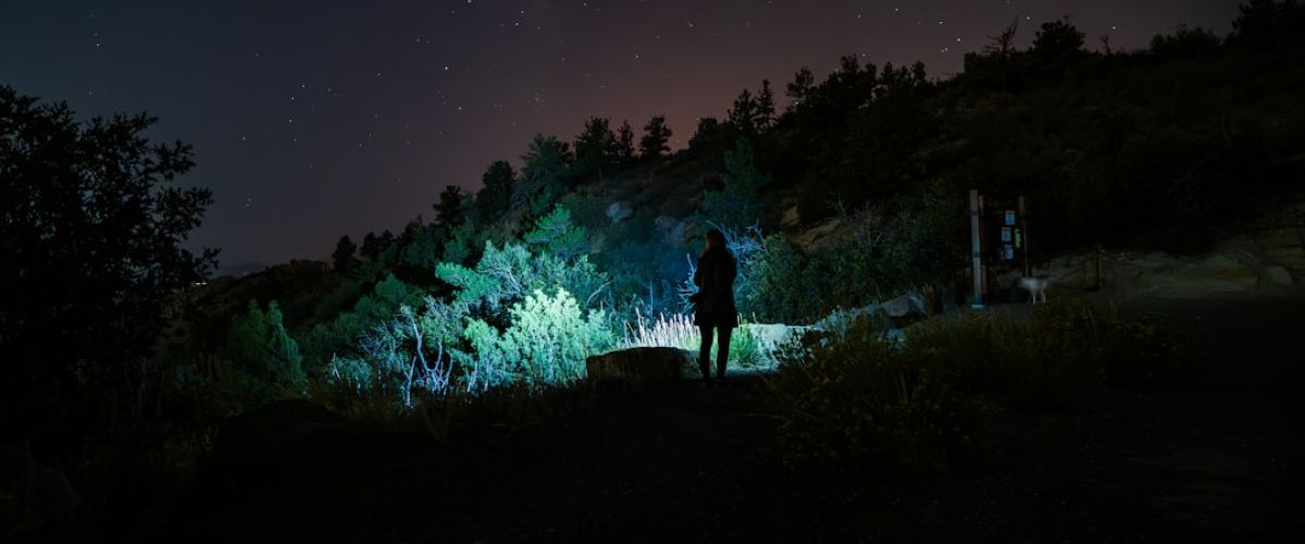 Persin in der Dunkelheit mit Licht